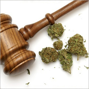 Medical Marijuana And Child Custody